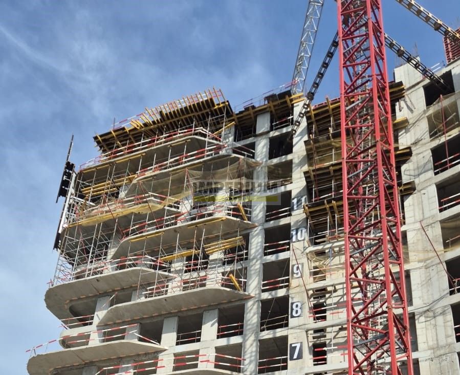 King and Sons (Кинг энд Санc): Июнь 2025