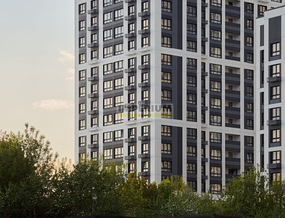 Westerdam (Вестердам)