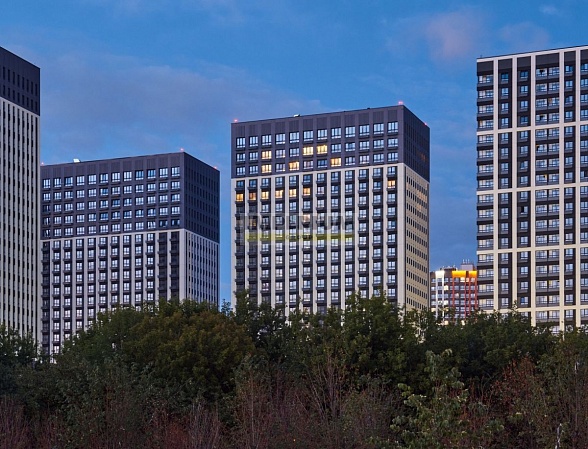 Westerdam (Вестердам)