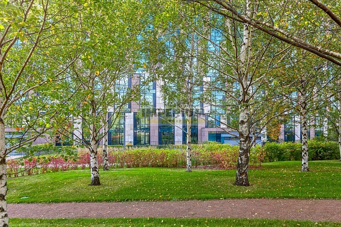 Сколково Парк