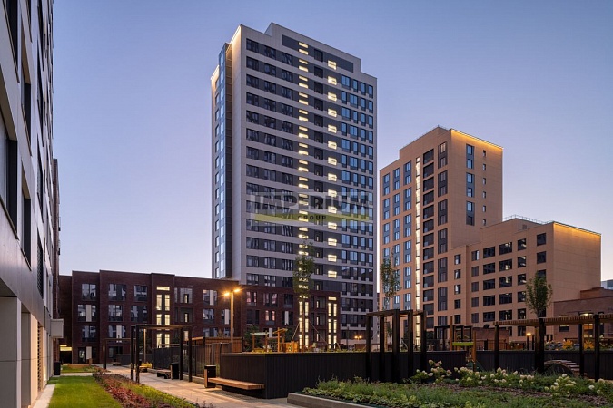 Headliner (Хэдлайнер)