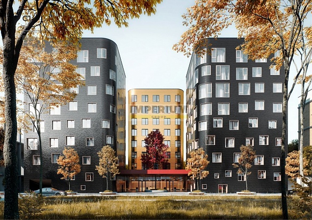 Композиция №24