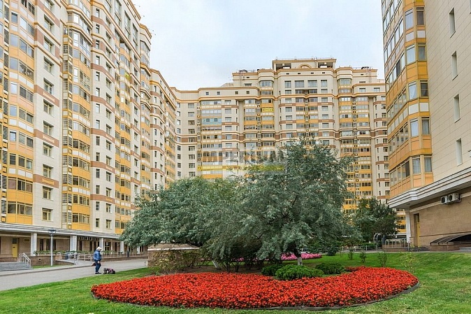 DOMINION (ДОМИНИОН)