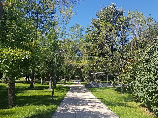 Park House (Парк Хаус)