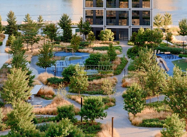 Dream Riva (Дрим Рива)